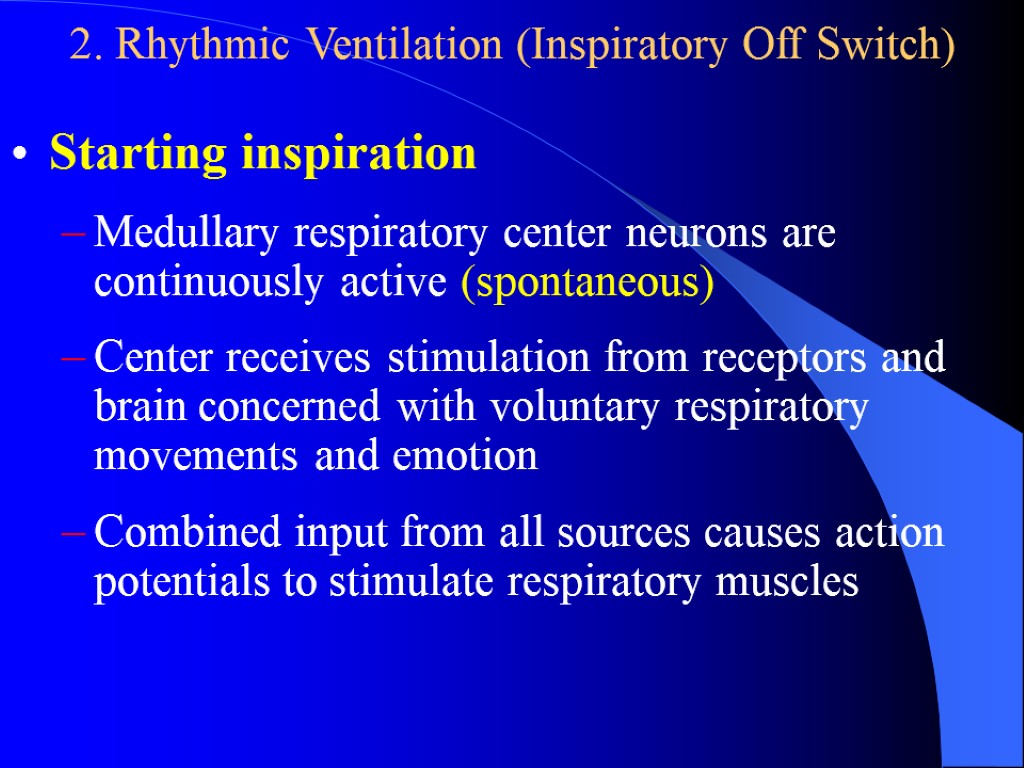 2. Rhythmic Ventilation (Inspiratory Off Switch) Starting inspiration Medullary respiratory center neurons are continuously